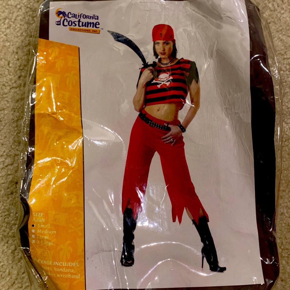 Adult pirate costume